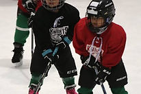 hockeyknights.jpg