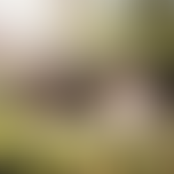 How The Major Players In The Universe Work With & Through Me To Transform Our World, By Infiniti