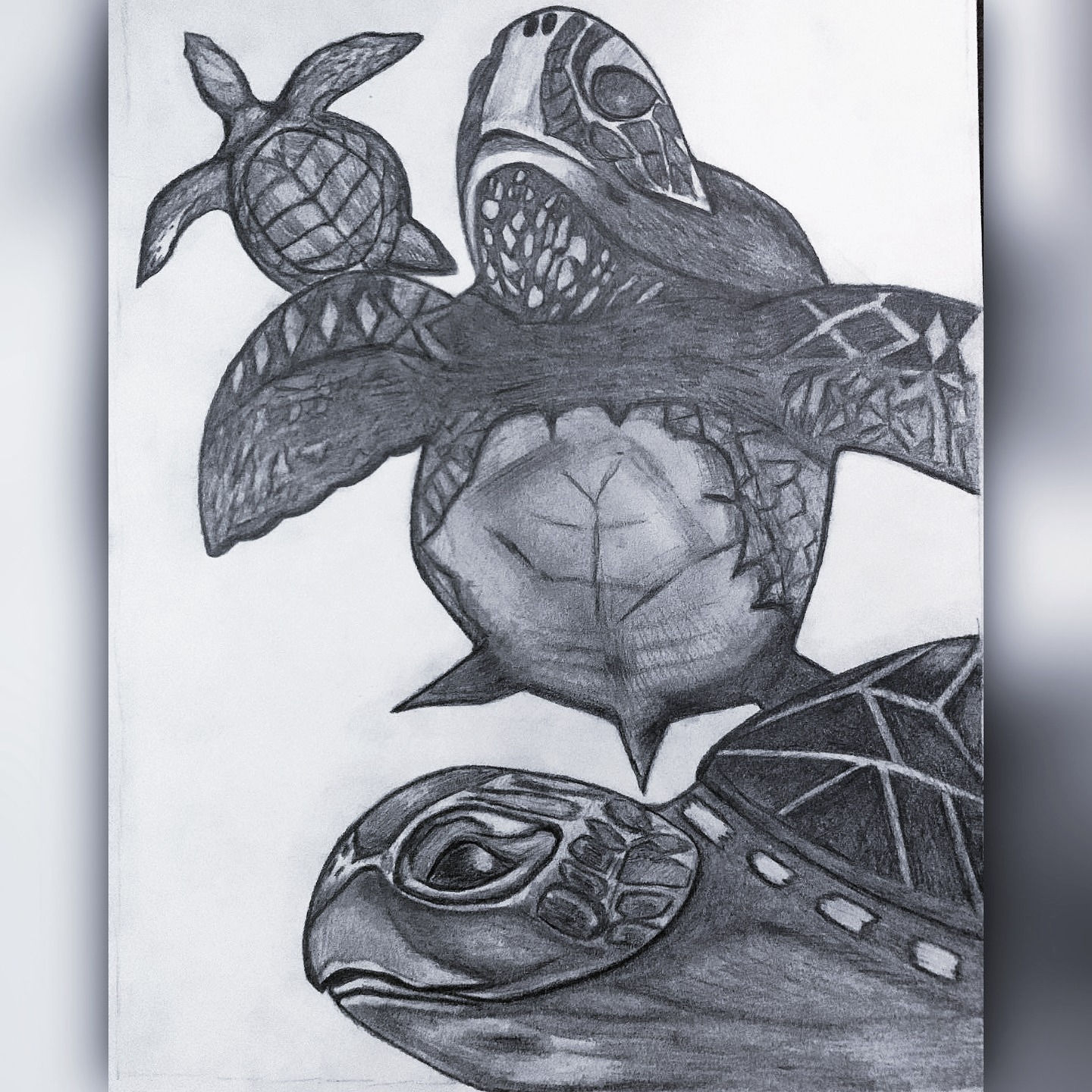 5X7 Original Pet Portrait-Digital File-Colorized+Black & White