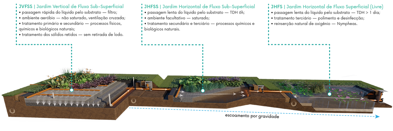 Infográfico Jardins de filtrantes e wetlands para tratamento de esgoto e efluente industrial