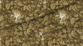 A slightly creased piece of fabric featuring dense foliage with hidden faces and insects in golden brown tones by lenes_linien.