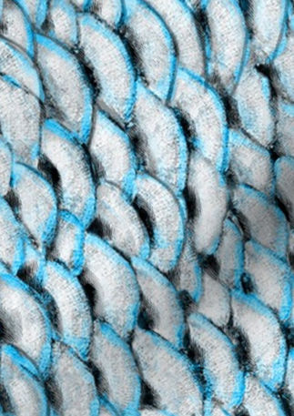 A slightly creased piece of fabric featuring the described scales design.