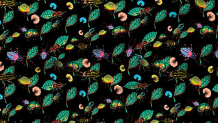 A slightly creased rectangle of fabric showing colorful bugs against deep black background.