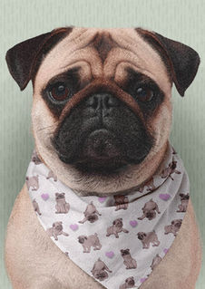 A slightly creased piece of fabric featuring hand-drawn Galentine's Day pug design by lenes_linien.