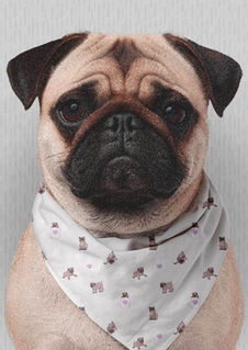 A slightly creased piece of fabric featuring hand-drawn Valentine's Day pug design by lenes_linien.