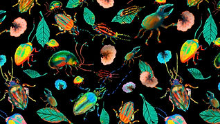 A slightly creased rectangle of fabric showing colorful bugs against deep black background.