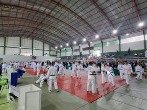 Como baixar as fotos pelo flickr