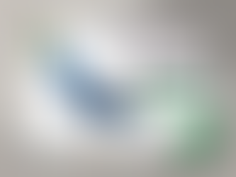 Entrar em um tatame vai muito além de tirar os chinelos e fazer uma reverência