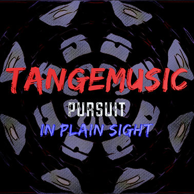 Pursuit/In Plain Sight cover