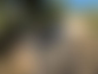 Installation de 12 panneaux Trina Solar 440wc 5.2 kWc