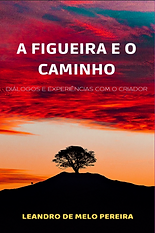 Captura de Tela (26).png