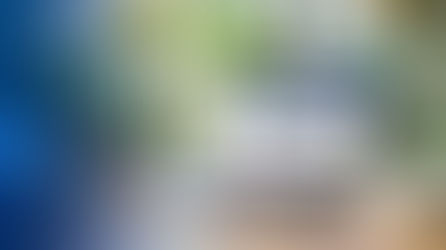 Breaking Barriers in Learning: Unified Language Experience (ULE)