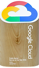award_google partner of the year 2026.png