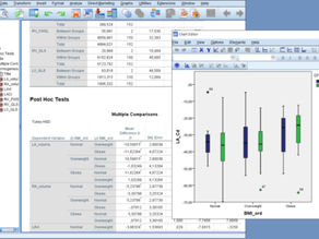 Parametrik Testler