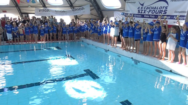 Photo NATATION.jpeg
