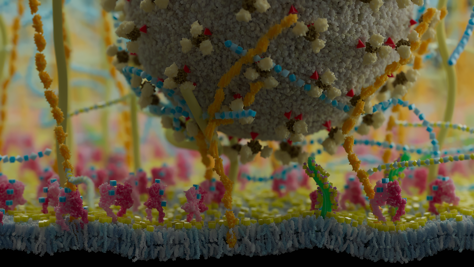 SynBIOcarb_STILL_36.png