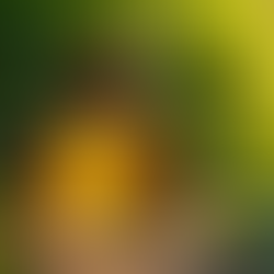 Unleash Your Inner Force with BVLGARI Men's fragrance with Man Wood Neroli Eau De Parfum