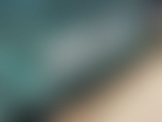 Owings Mills East Baseball Field - Stevenson Mustangs