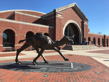 Gilbert Craig Gore Arena At John W. Pope Jr. Convocation Center – Campbell Camels