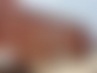 Terwilliger Brothers Field at Max Bishop Stadium - Navy Midshipmen