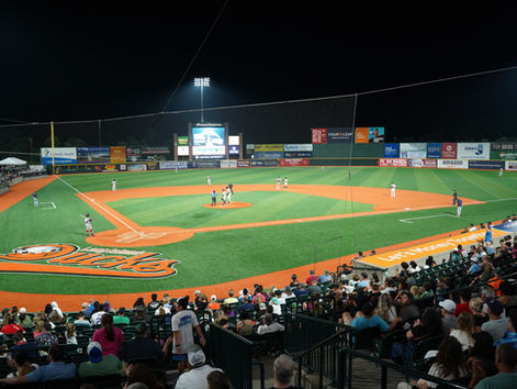 Fairfield Properties Ballpark - Long Island Ducks