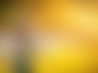 Seelenupdate 12.-18.6.2023