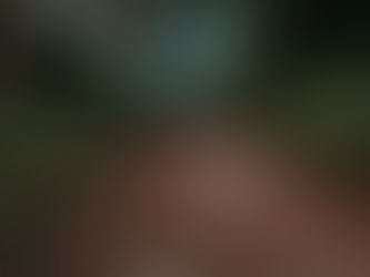 Seelenupdate 17.-23.4.203