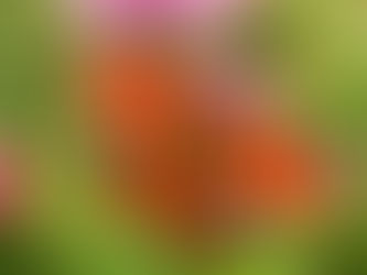 Seelenupdate 27.3.-2.4.23