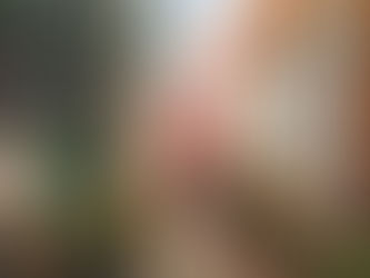 Seelenupdate 22.-28.5.2023