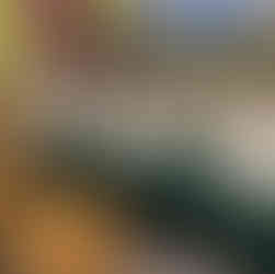 Event lounge with green velvet sofa, wood block tables, and scenic backdrop.