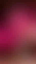 Bold magenta and pink tropical leaves arranged in a clear glass vase on a modern countertop.