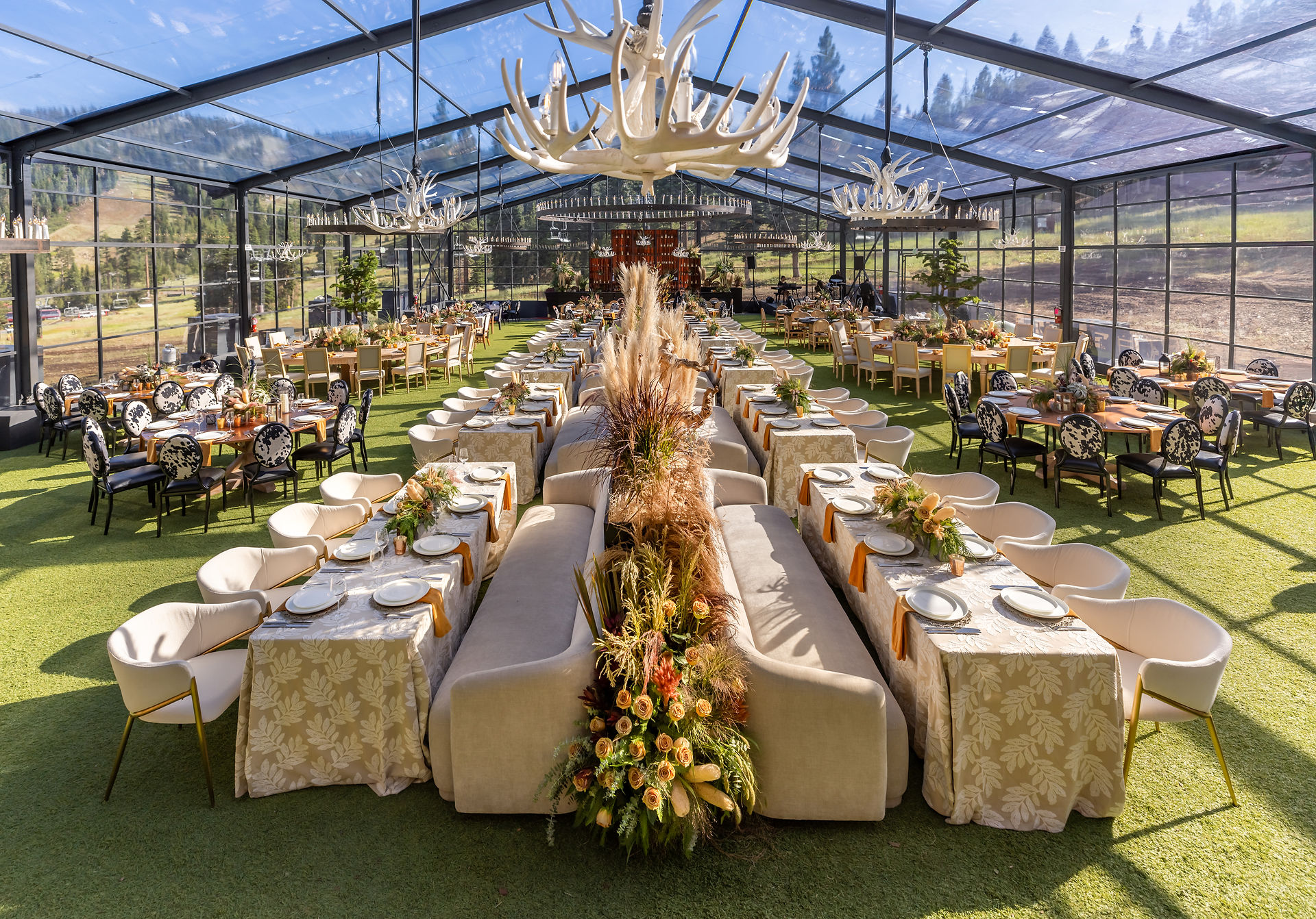 Wedding reception under a clear tent with long banquet tables, pampas grass decor, and lodge-style lighting.