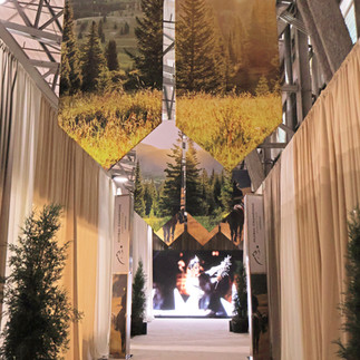 Branded hallway with forest imagery and event signage for dramatic entry