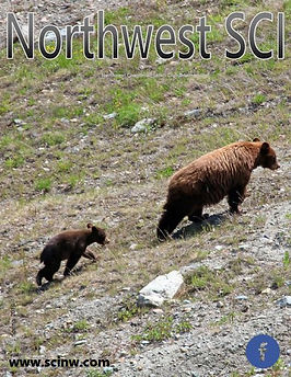 SCI NW Spring 2019.JPG