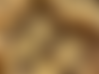 Soft and Chewy Chocolate Chip Cookie Recipe