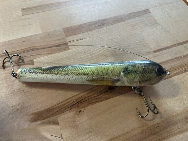 8" Steady Eddie Bass