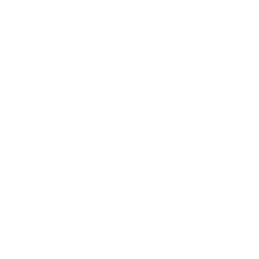 BRANDING & VISUAL IDENTITY.png