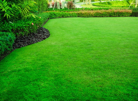 Lawn Care Tips