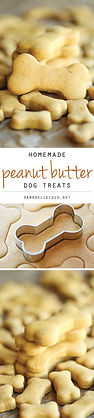 Homemade-Peanut-Butter-Dog-Treats-1.jpeg