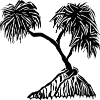 Clipart of Hala Tree
