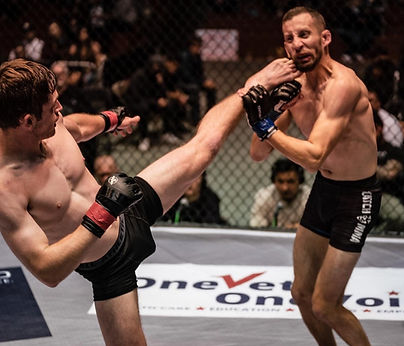 fight picture