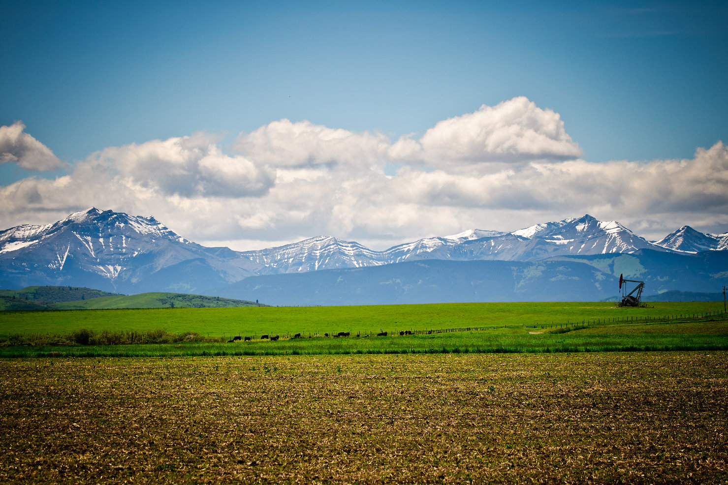 AdobeStock_123079368 (1).jpeg