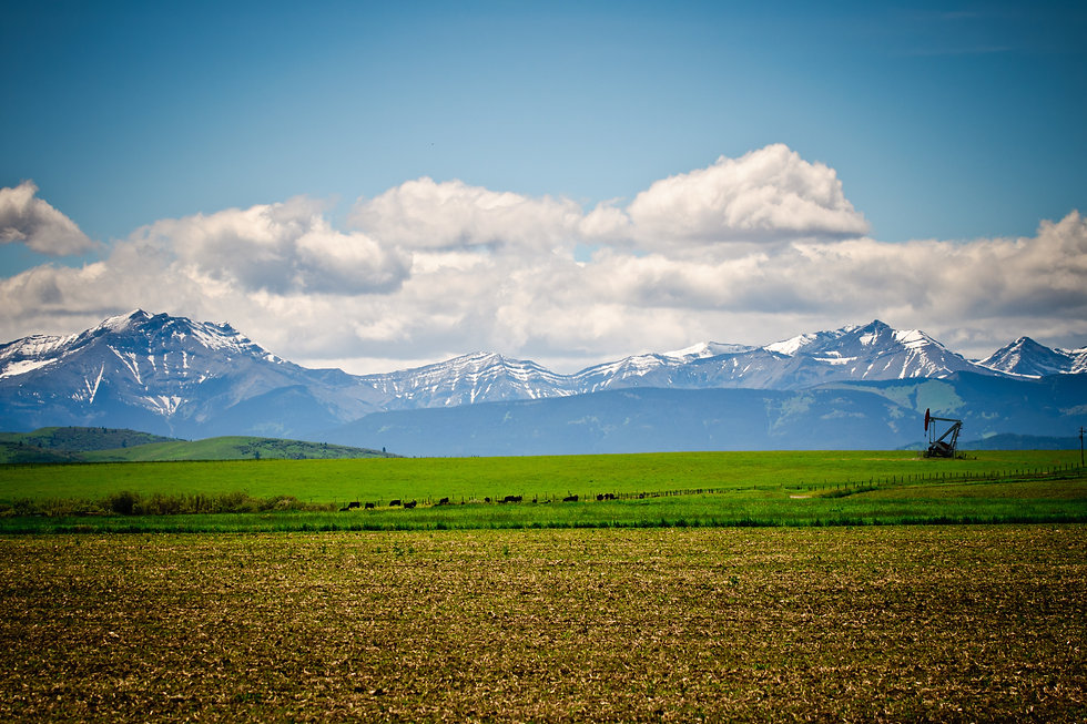 AdobeStock_123079368 (1).jpeg