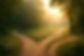 Pathways_edited.jpg