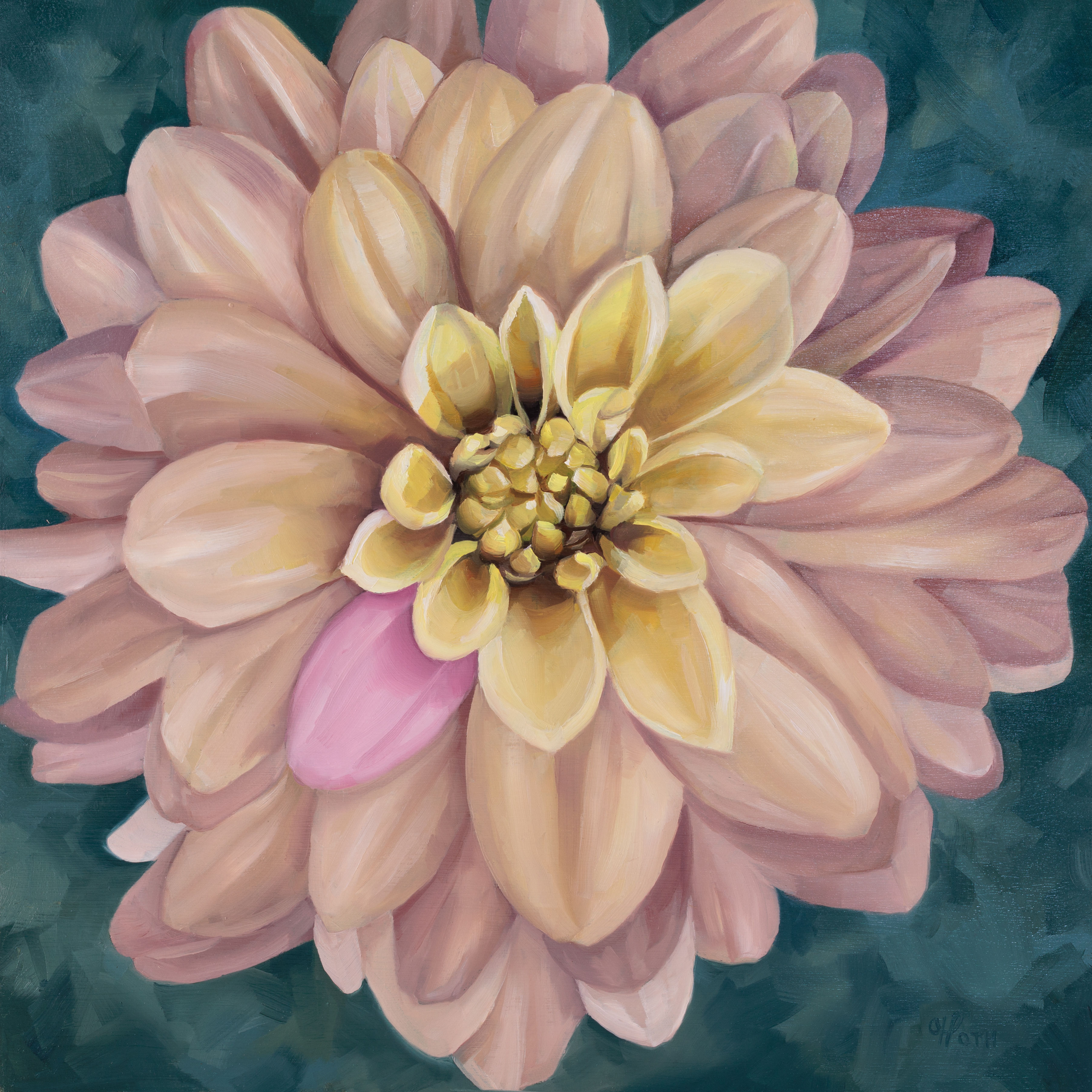 Conspicuous and Connected - Hoth