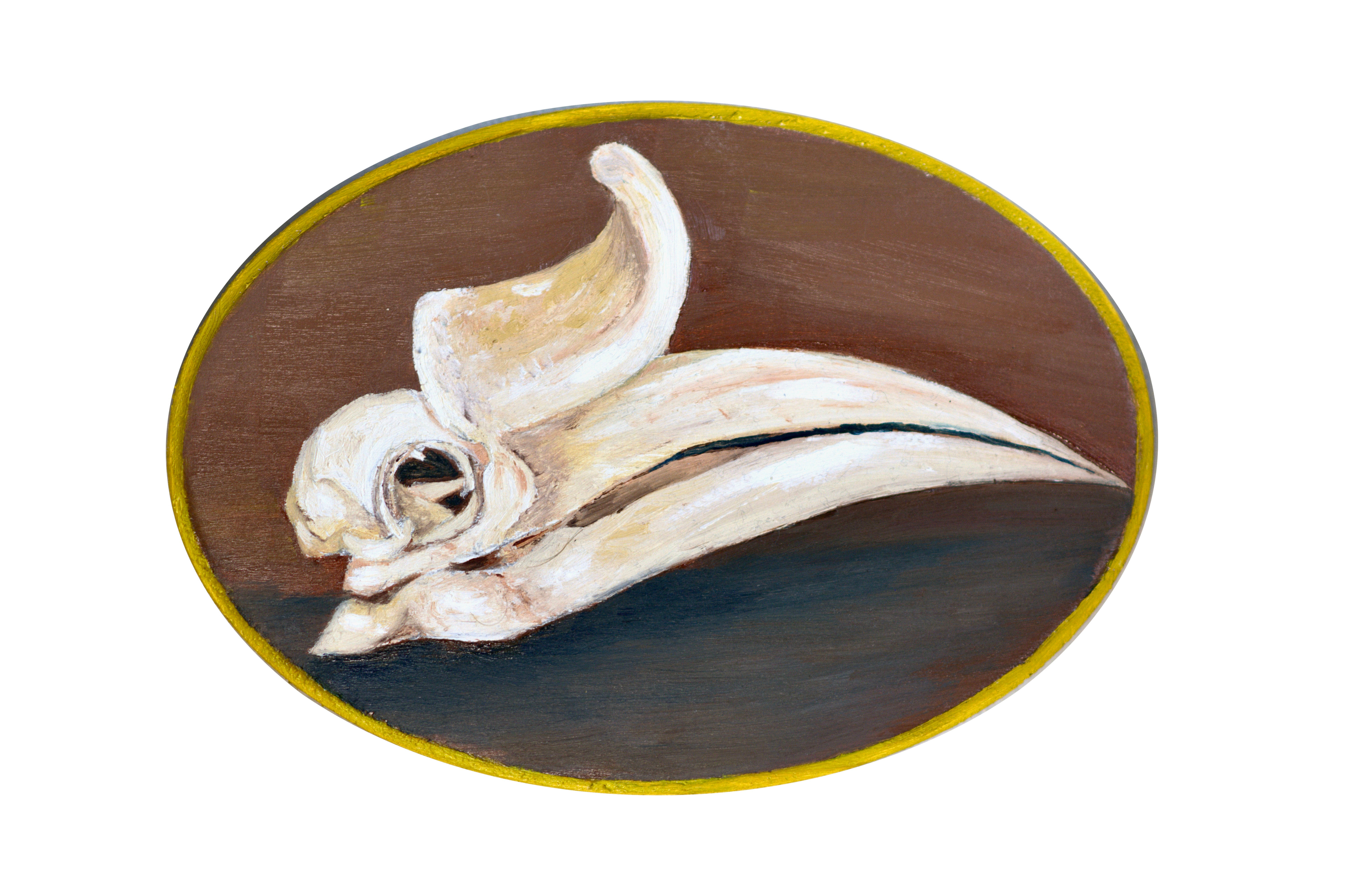 Rhinoceros Hornbill - Pound