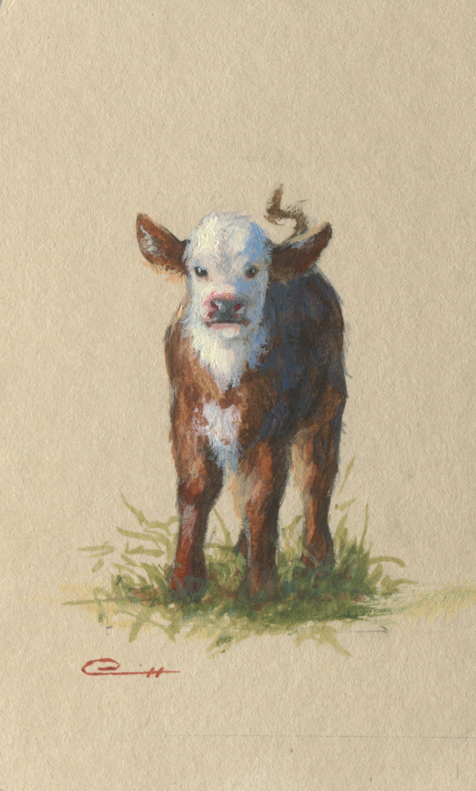 Fatted Calf 1- Candari