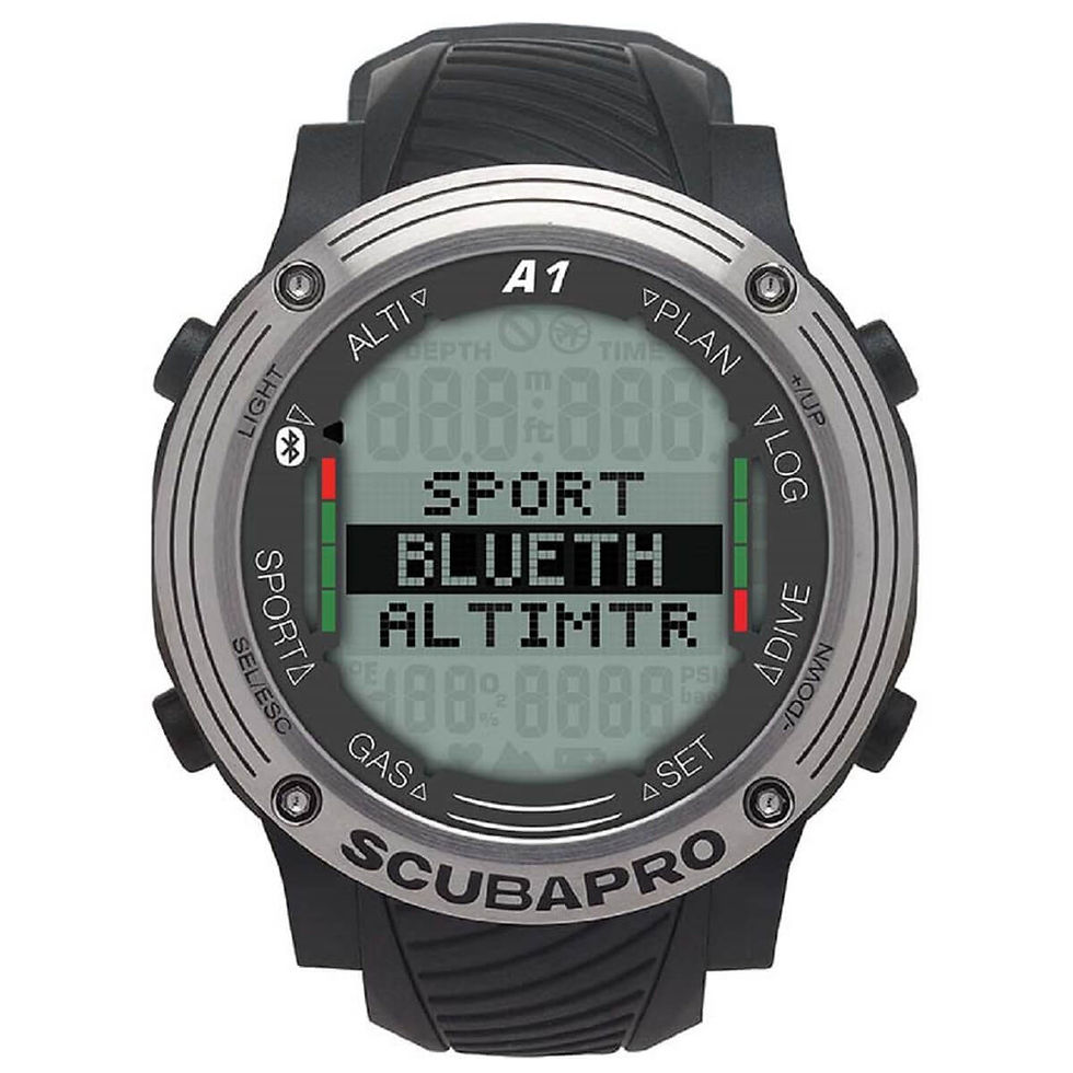 Thumbnail: ALADIN A1 DIVE COMPUTER