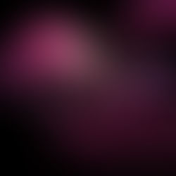 Welcome to the Chaos