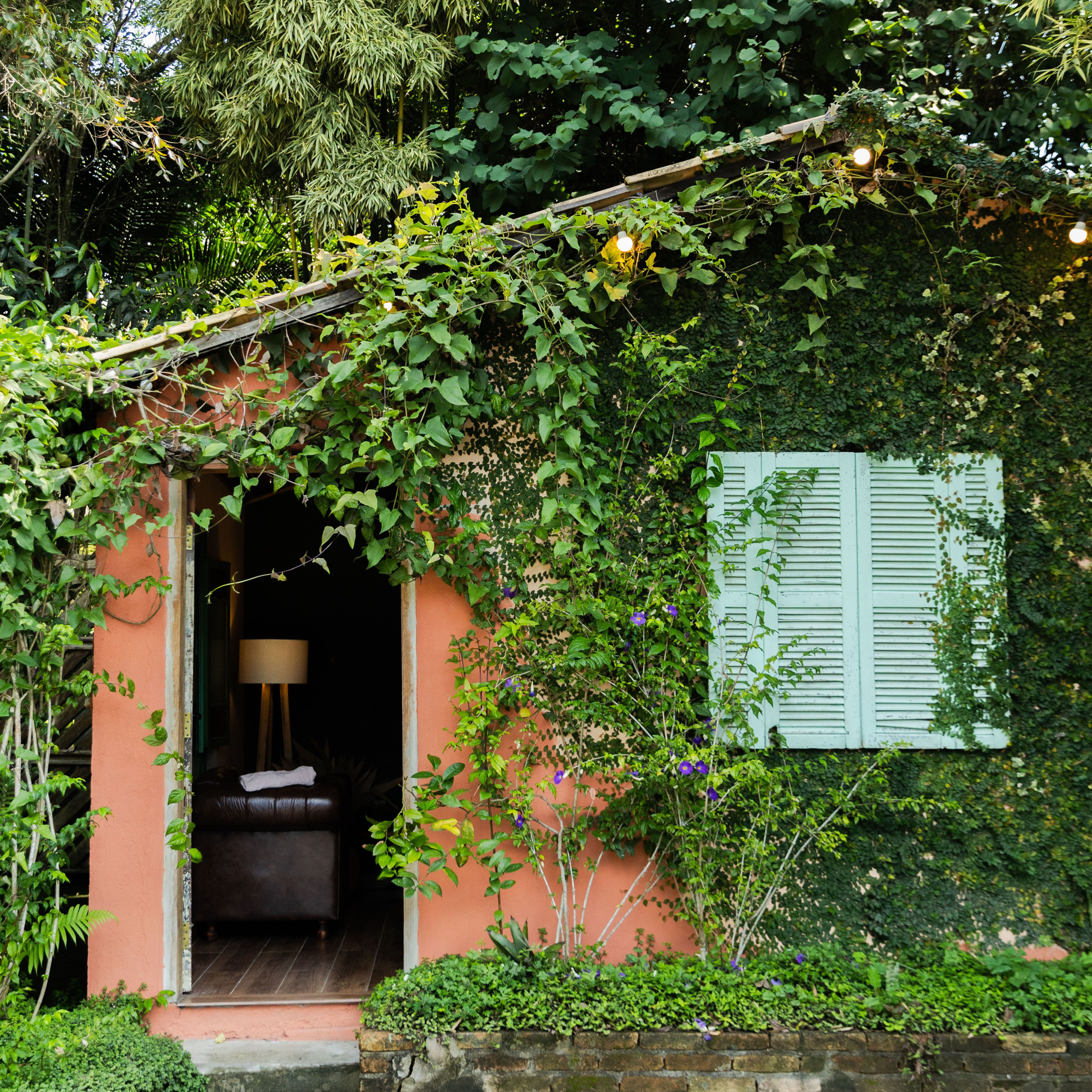 Pequeño efficiency en el patio de una casa, rodeado de vegetación, con puerta y ventana pequeñas.